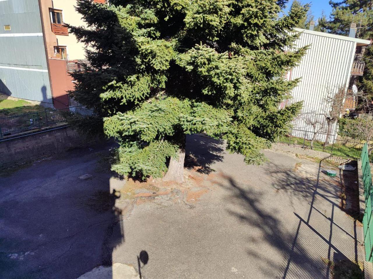 Madresila Home Camigliatello Silano Zewnętrze zdjęcie